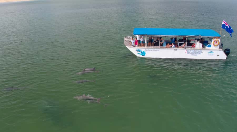 Koombana Bay: Dolphin Eco Cruise - Price and overall value at $46