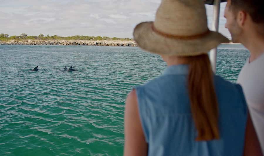 Koombana Bay: Dolphin Eco Cruise - Timing, weather, and practical preparation