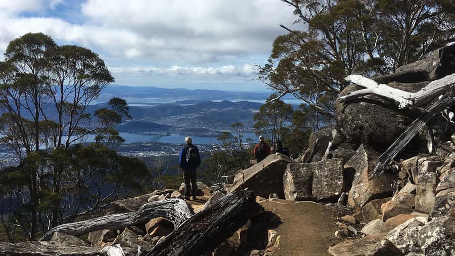 Kunanyi & Mt Wellington Explorer Bus: One-Way Bus Pass - Key points before you book