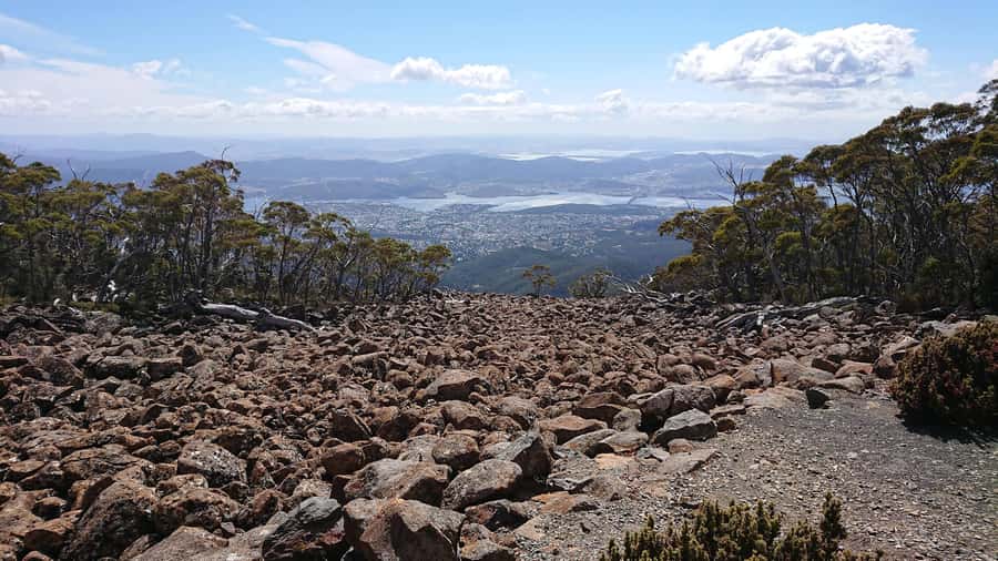 Kunanyi & Mt Wellington Explorer Bus: One-Way Bus Pass - Should you book the one-way pass?