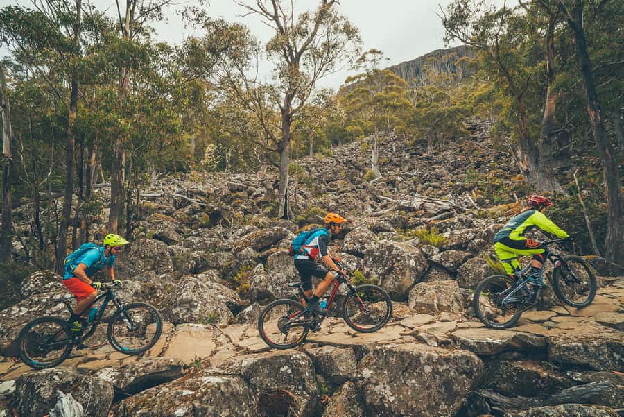 Kunanyi & Mt Wellington Explorer Bus: One-Way Bus Pass - Why the guide matters