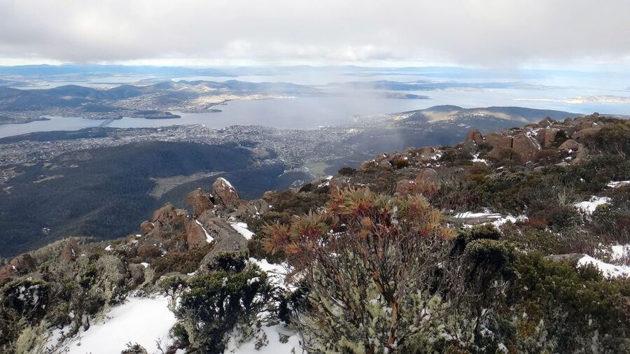 Kunanyi & Mt Wellington Explorer Bus: One-Way Bus Pass - The value of the $24 fare