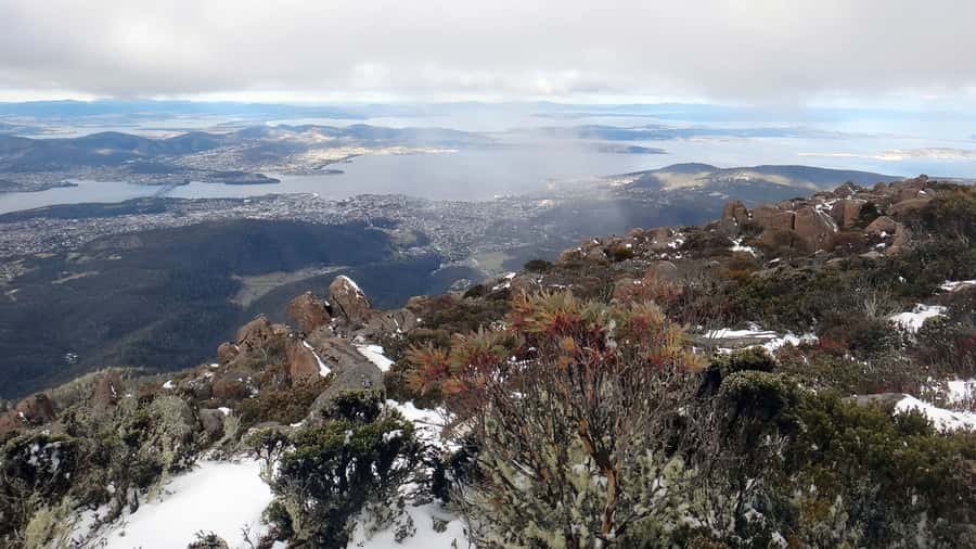 Kunanyi & Mt Wellington Explorer Bus: One-Way Bus Pass - Who will enjoy this bus most