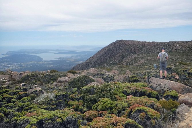 kunanyi/Mt Wellington Explorer Bus- Return Tour (2.5 hours) - Why kunanyi/Mt Wellington belongs on your Hobart plans