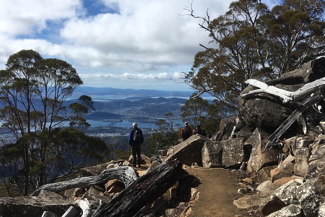 kunanyi/Mt Wellington Explorer Bus- Return Tour (2.5 hours) - Is the $35.86 fare good value?
