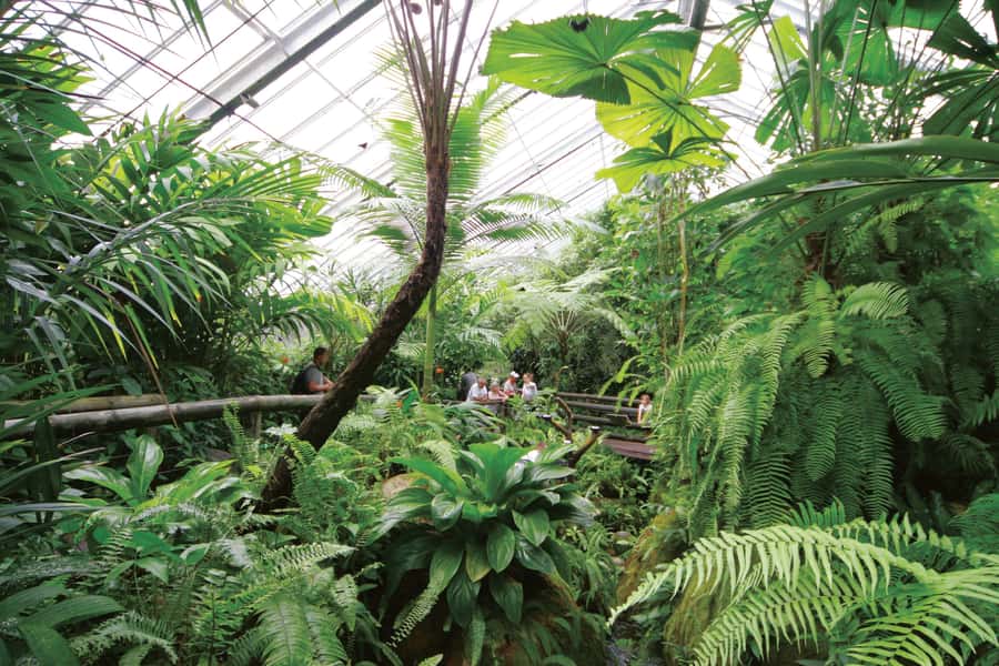 Kuranda: Australian Butterfly Sanctuary - Entering Kuranda’s butterfly aviary