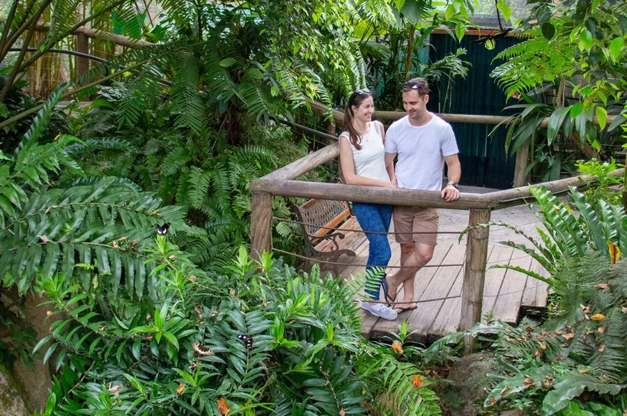 Kuranda: Australian Butterfly Sanctuary - Is $17 good value?