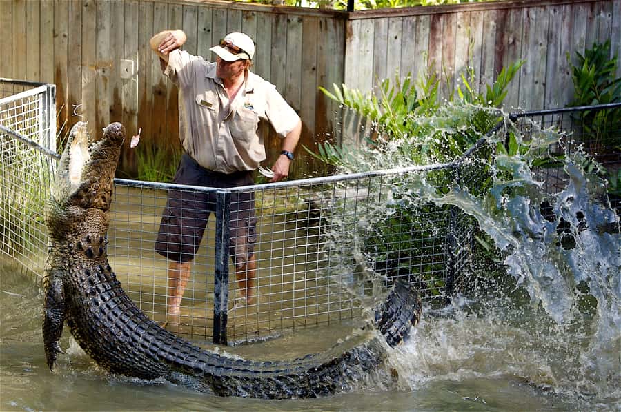 Kuranda & Hartley's Crocodile Adventures - Key points to know before booking