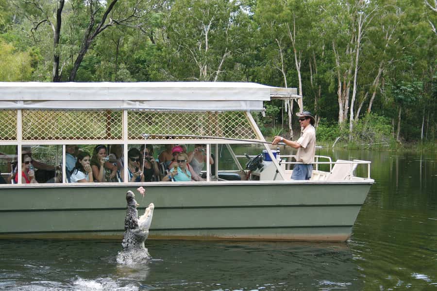 Kuranda & Hartley's Crocodile Adventures - One hour in Kuranda village