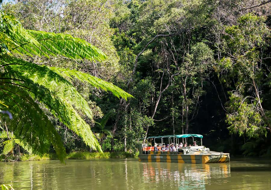 Kuranda Pamagirri Aboriginal Premium Full-Day Tour - Pamagirri Dreamtime Walk and Traditional Skills