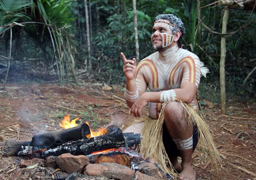 Kuranda Pamagirri Aboriginal Premium Full-Day Tour - The Rainforest Walkabout: Plants, Customs, and Bush Tucker