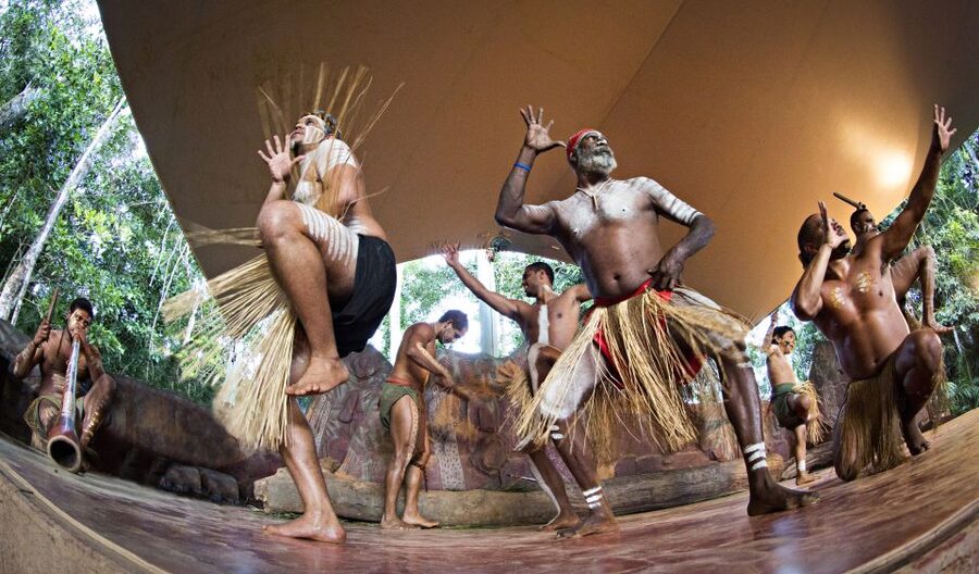 Kuranda Pamagirri Aboriginal Premium Full-Day Tour - Canvas Art Workshop and Your Take-Home Souvenir
