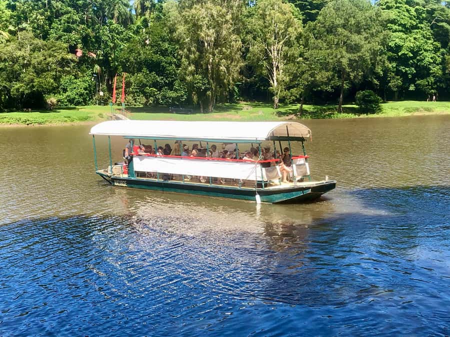 Kuranda: Riverboat Tour - Searching for freshwater crocodiles