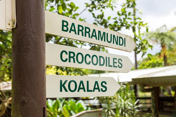 Kuranda Scenic Railway Day Trip from Cairns - Heat, walking, and practical comfort