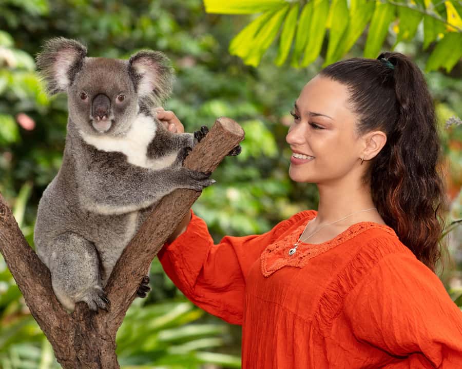 Kuranda Wildlife Experience: Koalas, Birds & Butterflies - Starting at Kuranda Koala Gardens