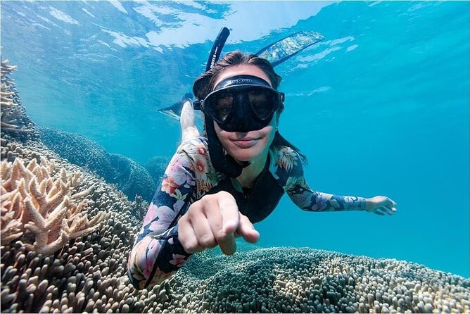 Lady Musgrave Day Trip from Bundaberg Including Snorkeling - Seeing the Reef From the Glass-Bottom Boat