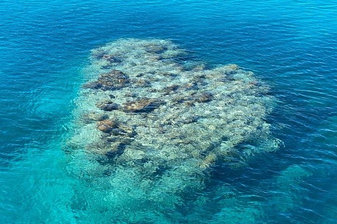 Lady Musgrave Day Trip from Bundaberg Including Snorkeling - Walking Lady Musgrave Island With a Guide