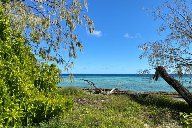 Lady Musgrave Day Trip from Bundaberg Including Snorkeling - Is the $240.64 Price Good Value?