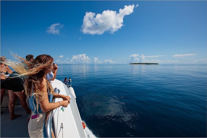 Lady Musgrave Day Trip from Bundaberg Including Snorkeling - Who Will Enjoy This Best?