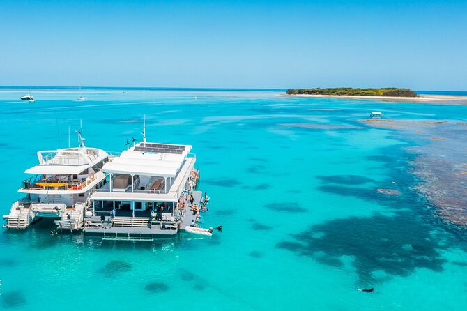 Lady Musgrave Day Trip from Bundaberg Including Snorkeling - Snorkeling With Turtles and Reef Fish