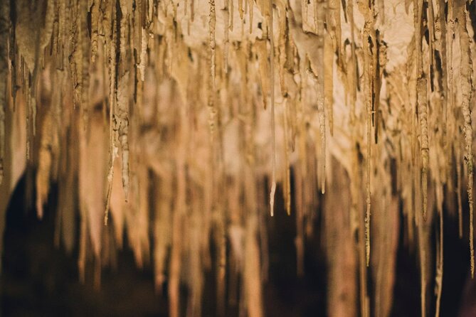 Lake Cave Fully Guided Tour - Guides who keep the hour lively