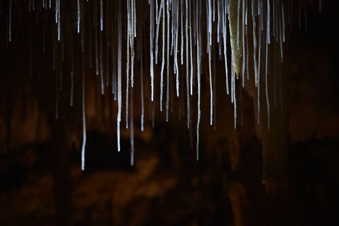 Lake Cave Fully Guided Tour - The staircase is part of the price of admission