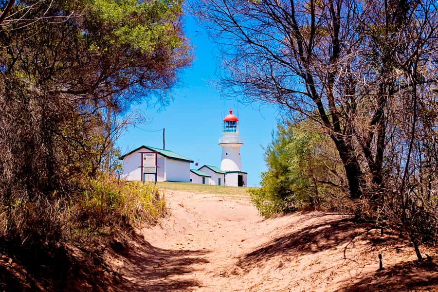 LARC! Paradise Tour: Beach, Lunch and Sandboarding - Seven hours on the Town of 1770 coast