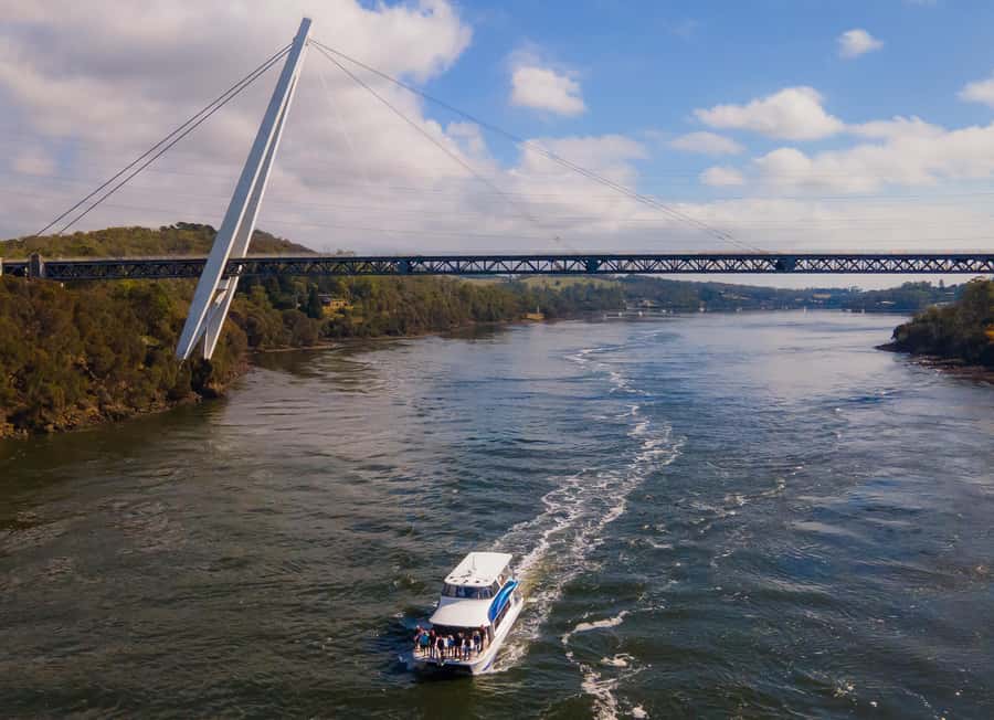 Launceston: 4-Hour Batman Bridge Luncheon Cruise - Key points to know before booking