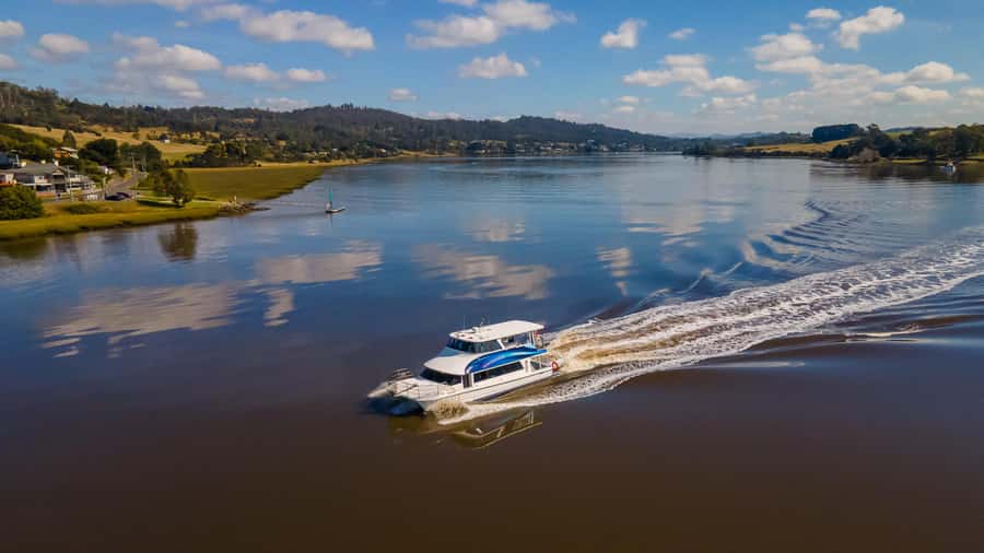 Launceston: 4-Hour Batman Bridge Luncheon Cruise - Lunch, morning tea, and the local tasting