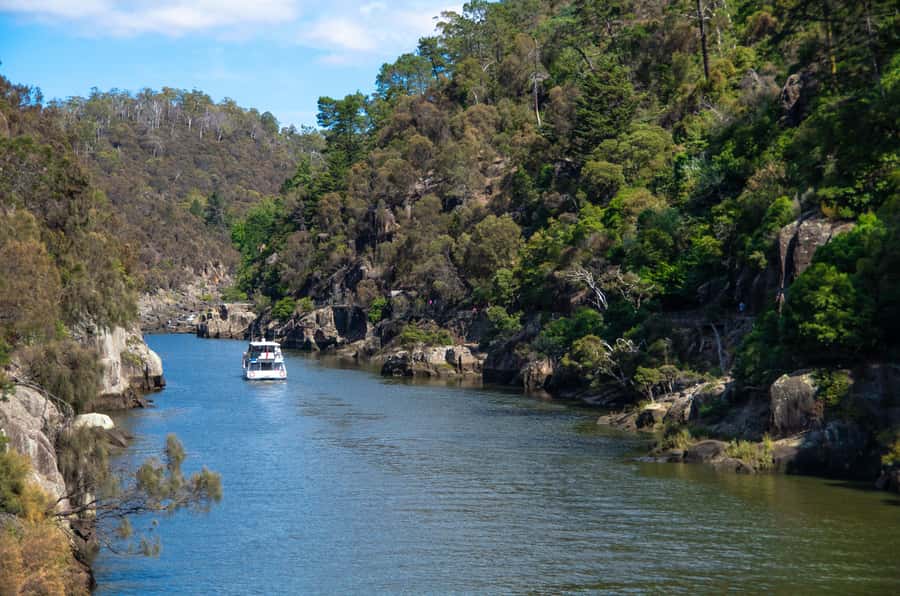 Launceston: 4-Hour Batman Bridge Luncheon Cruise - Is $126 good value?