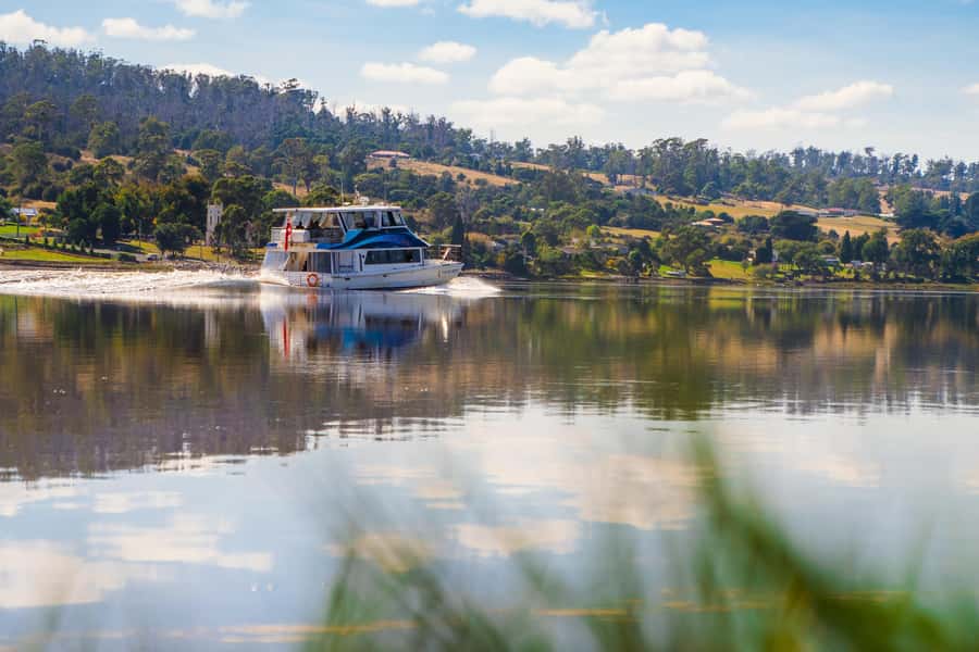 Launceston: 4-Hour Batman Bridge Luncheon Cruise - Starting at Home Point and entering Cataract Gorge