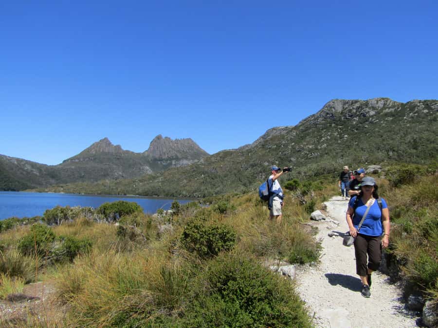 Launceston: Cradle Mountain Guided Active Day Trip - Ice cream and raspberries at day’s end