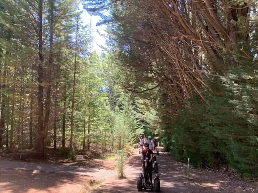 Launceston: Hollybank Forest Guided Segway Tour with Photos - Five things to know before riding