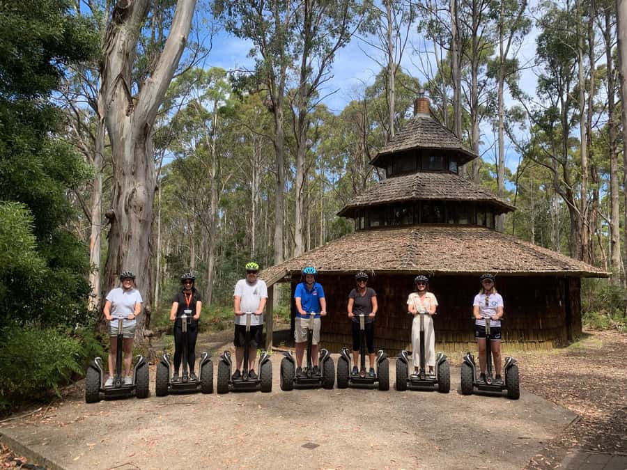 Launceston: Hollybank Forest Guided Segway Tour with Photos - Why Hollybank Forest works for a short outdoor tour