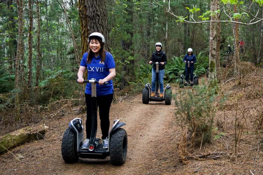Launceston: Hollybank Forest Guided Segway Tour with Photos - Riding the easy forest paths