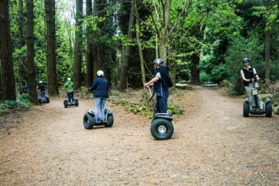 Hollybank Forest Guided Segway Tour with Photos