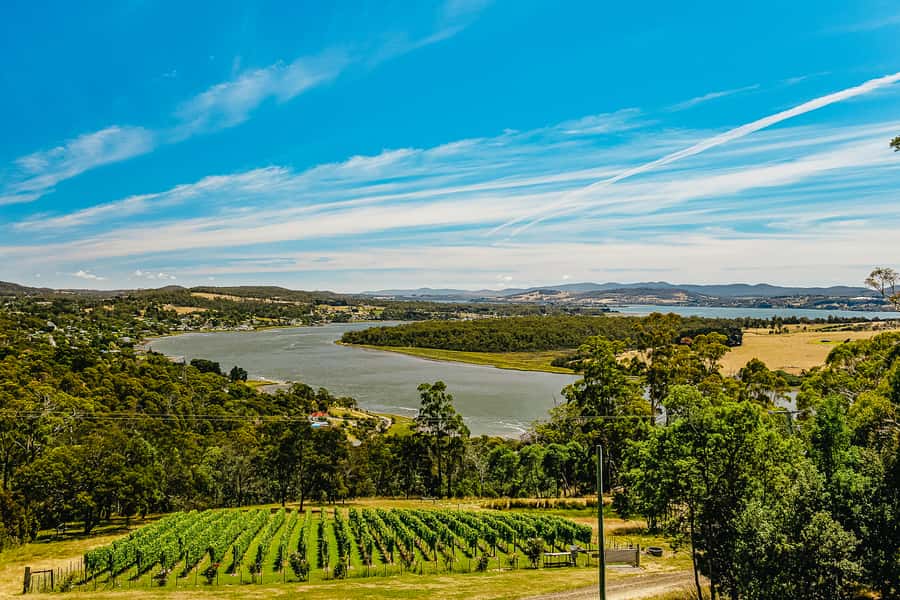 Launceston: Tamar Valley Wine Tour with Lunch - Why the Tamar Valley makes a good wine day