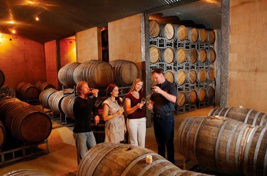 Launceston: Tamar Valley Wine Tour with Lunch - The first cellar doors: learning how Tamar wines differ