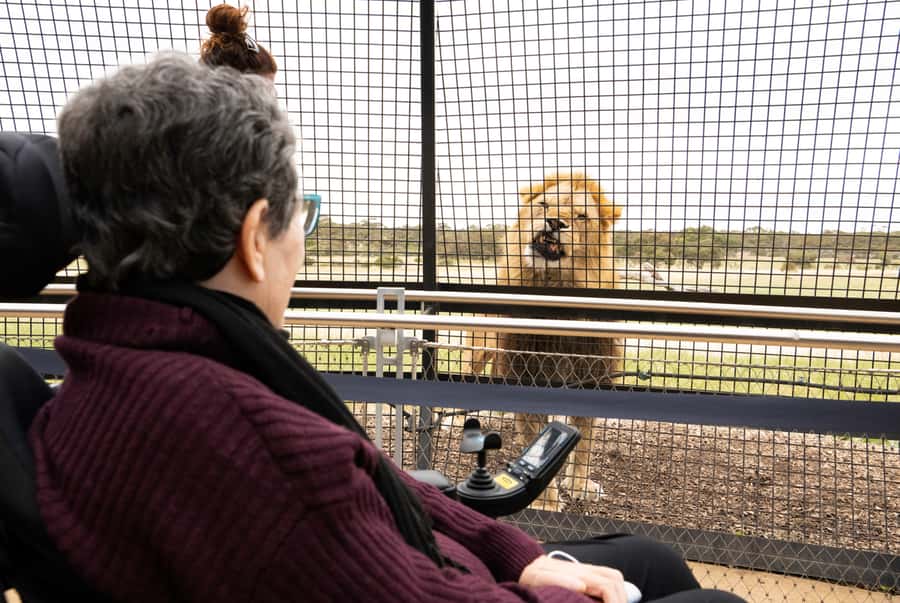 Lions 360 Experience and a Day at Monarto Safari Park - The one-hour Lions 360 encounter