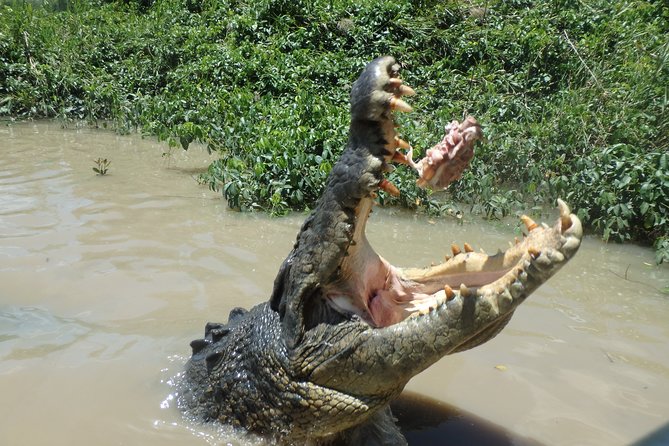Litchfield and Jumping Crocodiles Full Day Trip from Darwin - A picnic lunch, not a restaurant meal