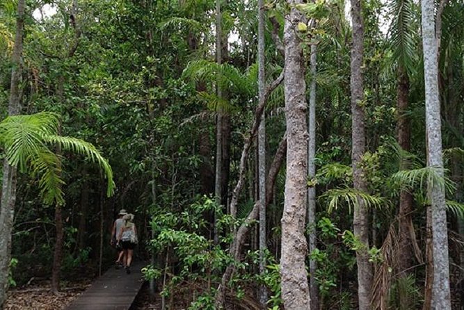 Litchfield National Park and Jumping Crocodile Cruise - Key points before you book