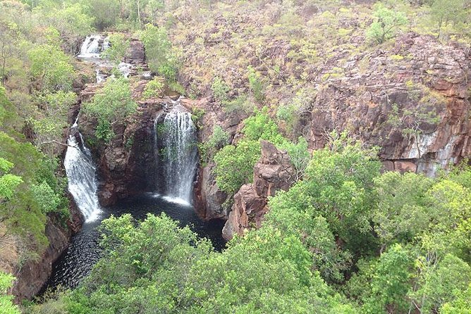 Litchfield National Park and Jumping Crocodile Cruise - Why this Darwin day trip works