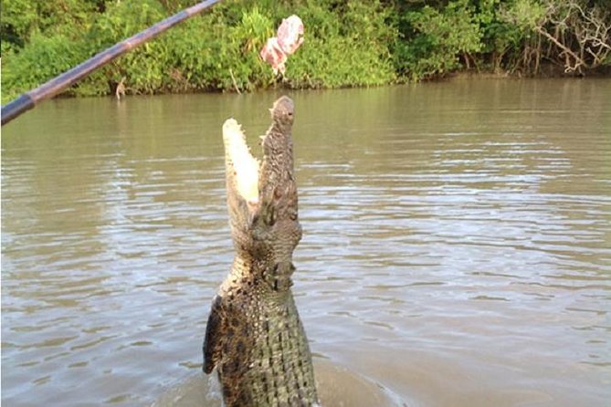 Litchfield National Park and Jumping Crocodile Cruise - What the guide adds