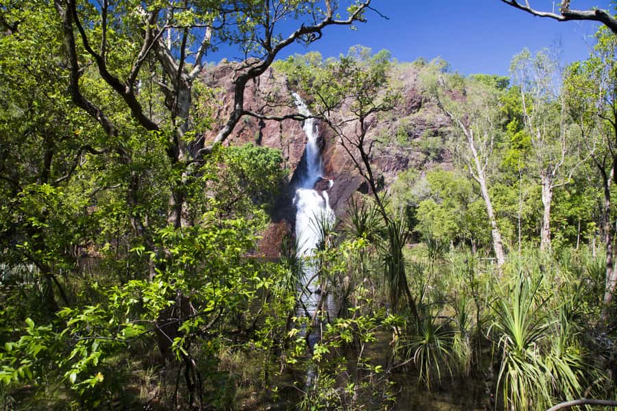 Litchfield National Park: Full-Day & Lunch from Darwin - Florence Falls and the 135 stairs