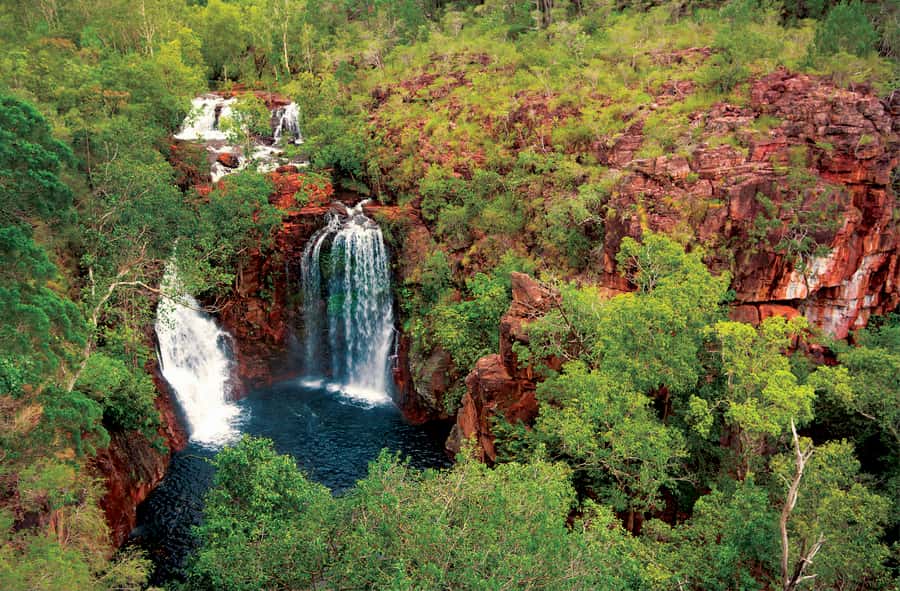 Litchfield National Park: Full-Day & Lunch from Darwin - Wangi Falls and the large swimming pool