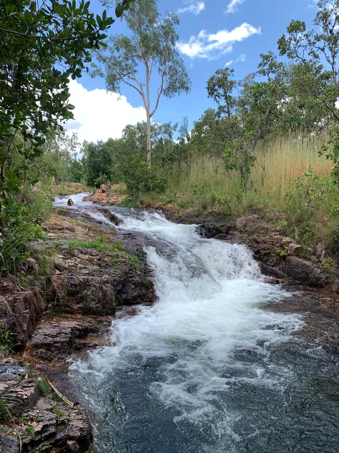 Litchfield VIP Tours, Litchfield National Park, Day Tours, - Florence Falls is the main swimming highlight
