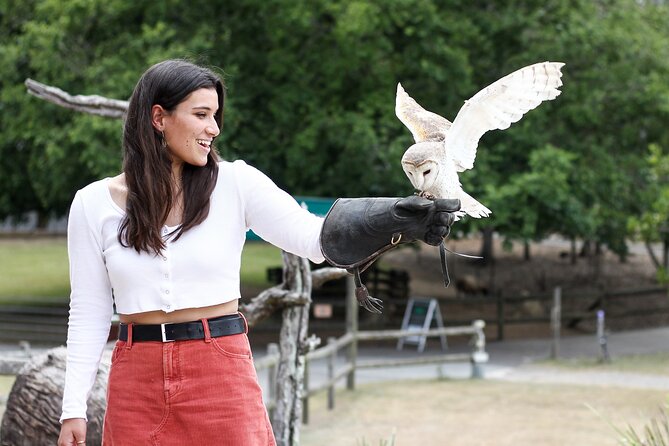 Lone Pine Koala Sanctuary Day Pass - Platypuses, crocodiles, dingoes, and other Australian species
