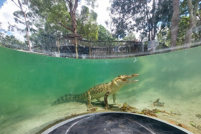 Lone Pine Koala Sanctuary Day Pass - Getting there from Brisbane