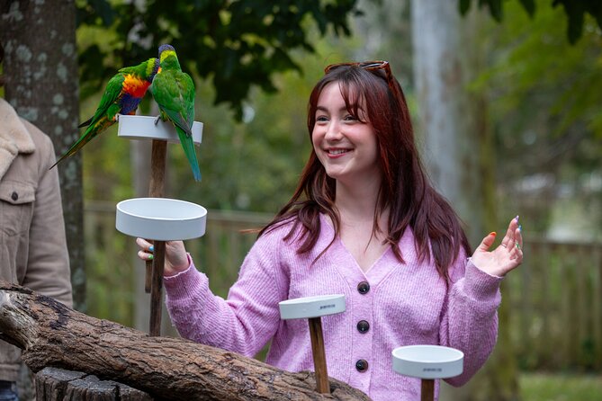 Lone Pine Koala Sanctuary Day Pass - Is $42.32 good value?