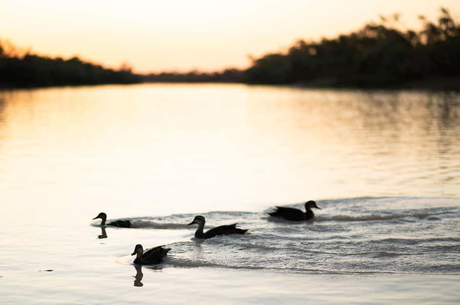 Longreach: Drover's Sunset Cruise & Outback Dinner & Show - Why this Longreach evening works so well